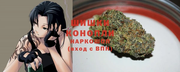 spice Арсеньев