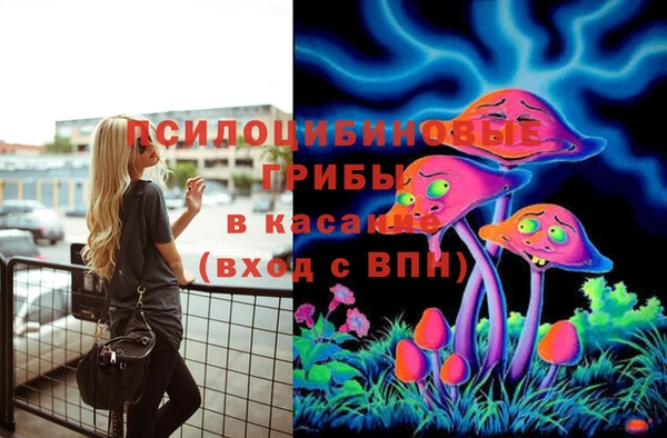 spice Арсеньев