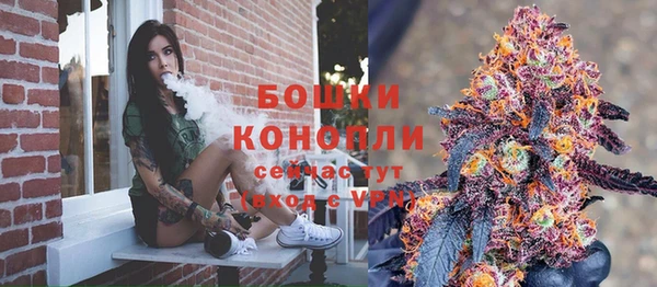 spice Арсеньев